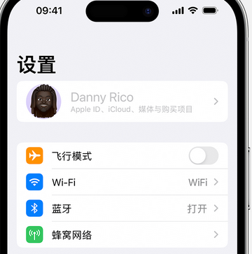 厚街镇appleID维修服务iPhone设置中Apple ID显示为灰色无法使用 