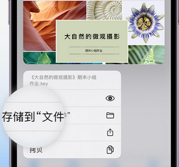 厚街镇apple维修中心分享iPhone文件应用中存储和找到下载文件