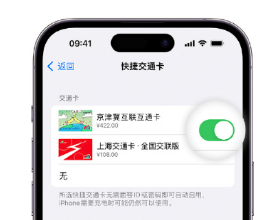 厚街镇apple维修点分享iPhone上更换Apple Pay快捷交通卡手绘卡面 