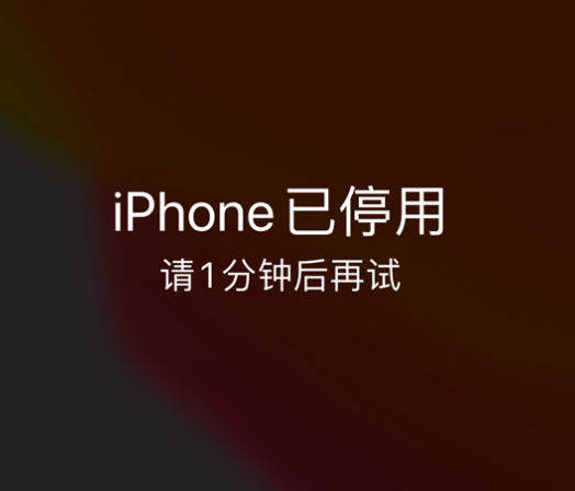 厚街镇苹果手机维修分享:iPhone 显示“不可用”或“已停用”怎么办？还能保留数据吗？ 