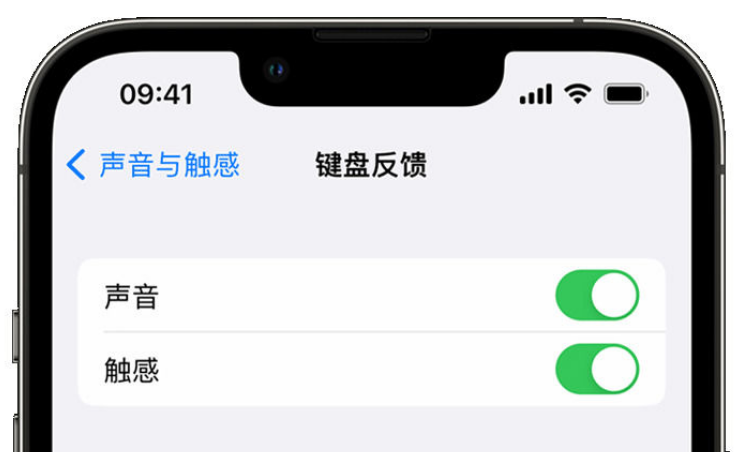 厚街镇苹果手机维修分享iPhone 14触感键盘使用方法 