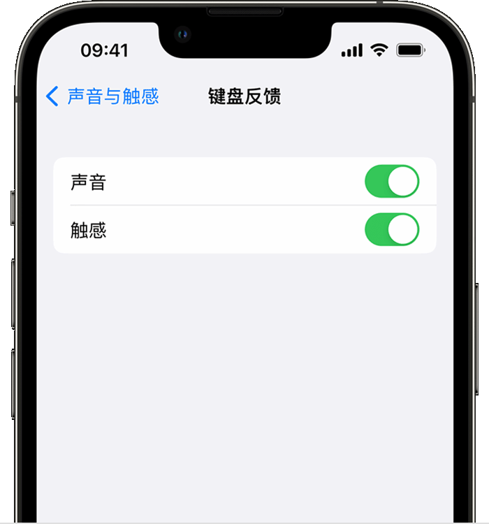 厚街镇苹果14维修店分享如何在 iPhone 14 机型中使用触感键盘 