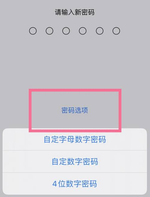 厚街镇苹果14维修分享iPhone 14plus设置密码的方法 