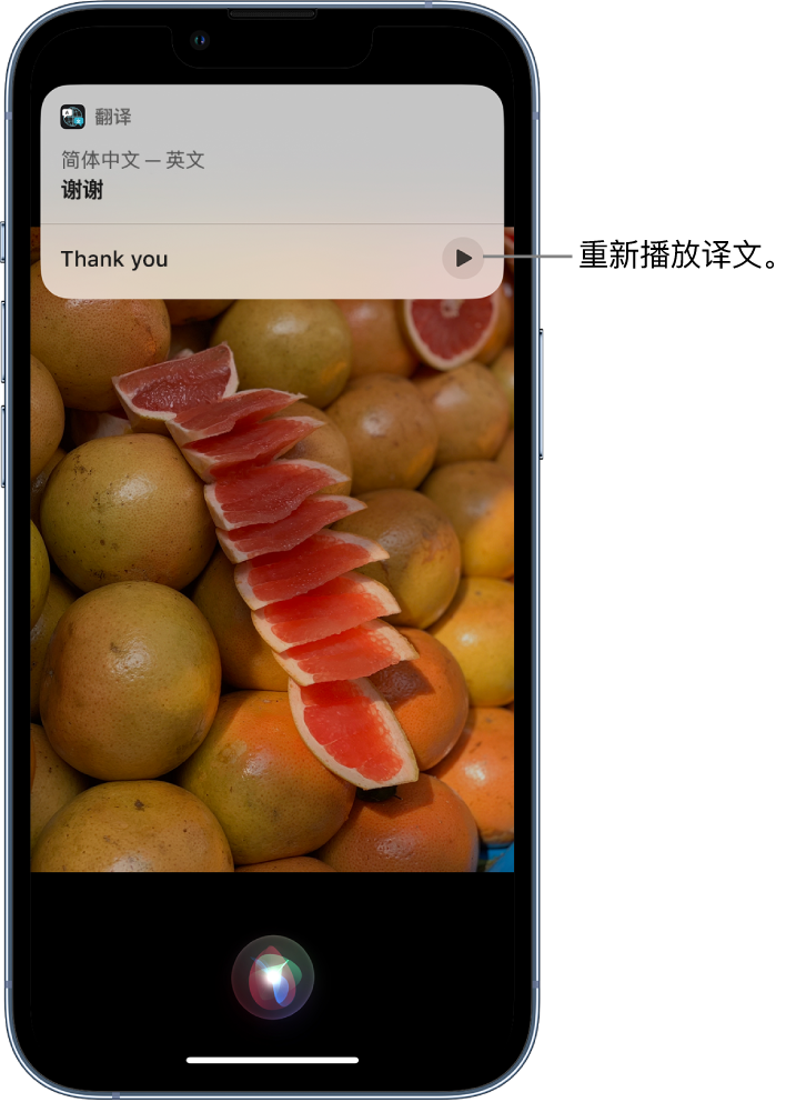 厚街镇苹果14维修分享 iPhone 14 机型中使用 Siri：了解 Siri 能帮你做什么 