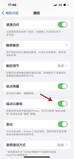 厚街镇苹果手机维修分享iPhone手机如何设置摇一摇删除文字 